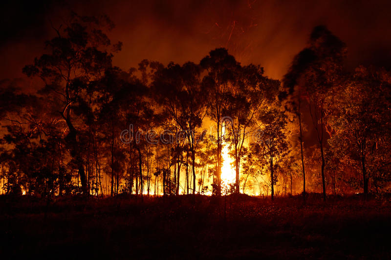 Effect Of The Bushfires On The Australian Agricultural Industry
