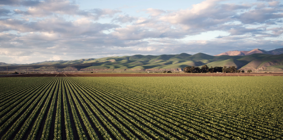 Trending Agricultural Practices For The Year 2020